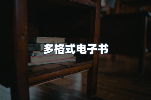 多格式电子书